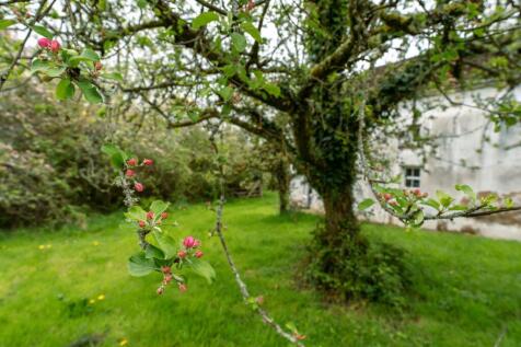 Property Image 60