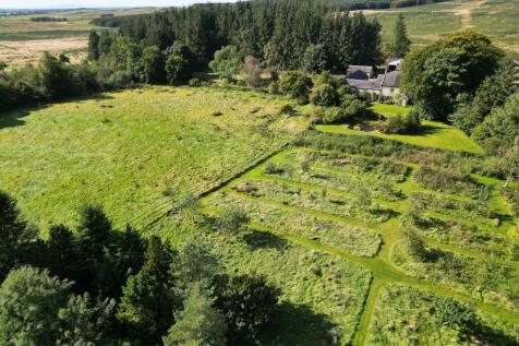 Paddock, Orchard ...