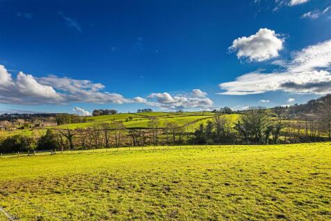Mill Lane Farm (4 of 21).jpg