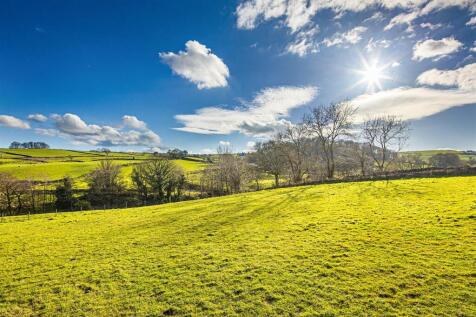 Mill Lane Farm (5 of 21).jpg