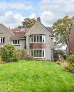 P untitled (6 of 25).jpg