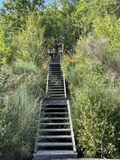 Photo 34