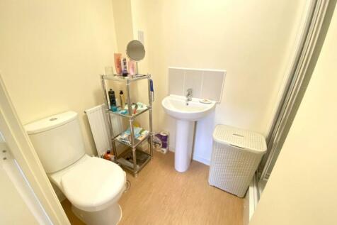 IMG_3026 (Large).JPG