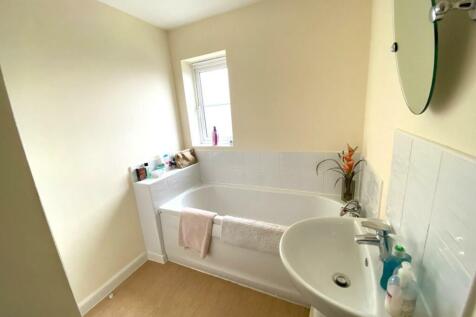 IMG_3033 (Large).JPG