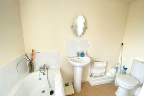 IMG_3034 (Large).JPG