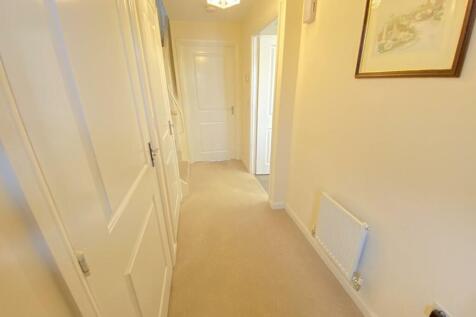 IMG_3046 (Large).JPG