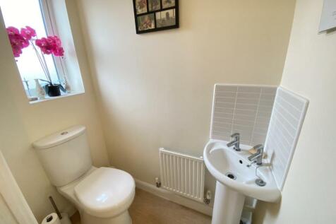 IMG_3048 (Large).JPG