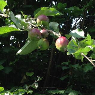 35e04e07d31b4213b287f4efd4dd79ec