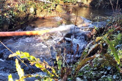 Stream