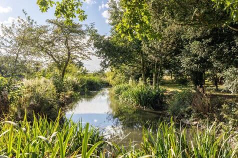 Wildlife Pond