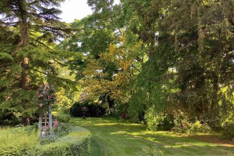 Gardens (Summer 2024)