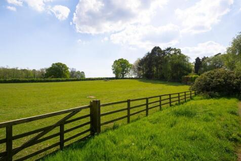 Rough Grassed Area
