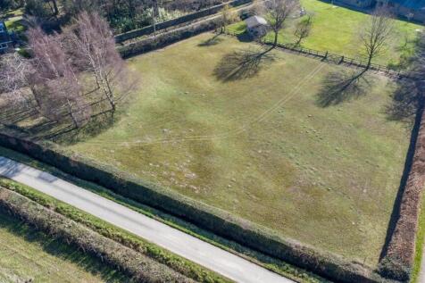 Paddock Additional Photograph