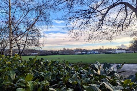 View From Patio Door