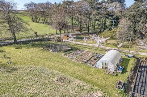 Kitchen Garden
