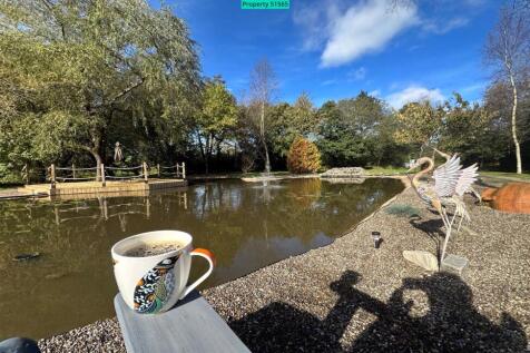 Front pond