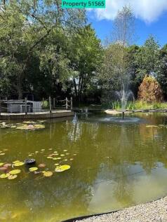 Front pond