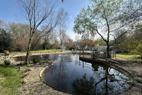 Front Pond
