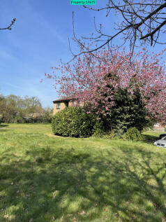Communal garden area