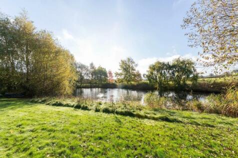 VIEW ACROSS YOUR POND.jpg