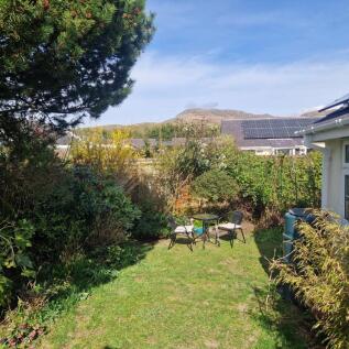 Garden 3.jpg