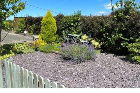Garden In Summer