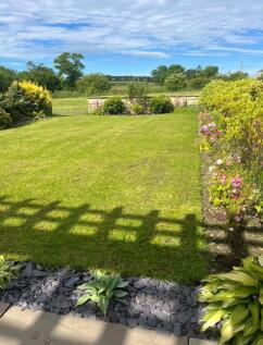 Garden In Summer