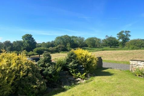 Garden In Summer