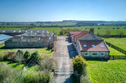 Driveway and Farm