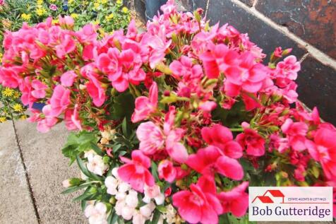 ENCLOSED REAR GARDEN