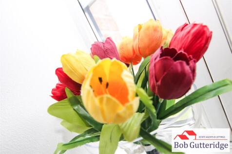 tlc_5fdf7da9-23a3-4417-806e-0ab990a8e4cd_e340edd.j