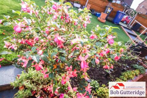 tlc_2bb3615d-cb76-4765-8b5b-4cd26d8d79f5_41b85d8.j