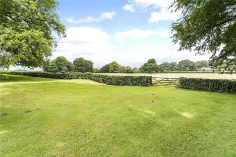 Garden and Field