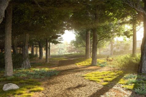 Woodland Walk CGI