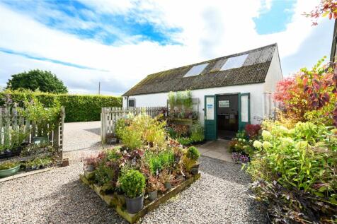 Nursery Shop