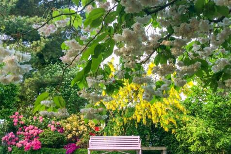 Garden In Springtime