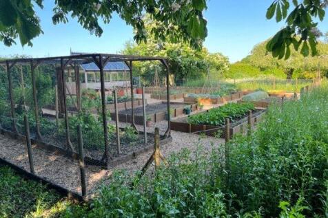 Vegetable Garden