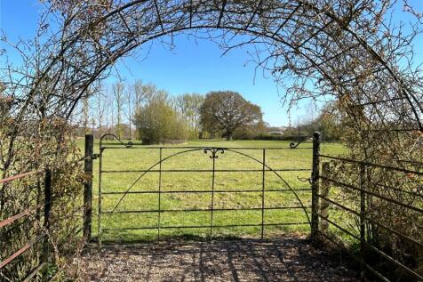 Field