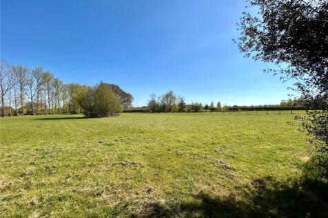 Meadow