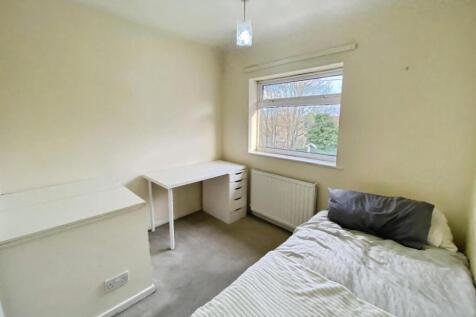 user_edited_photo-1a07f31b_user-edited-07bffd4a-96