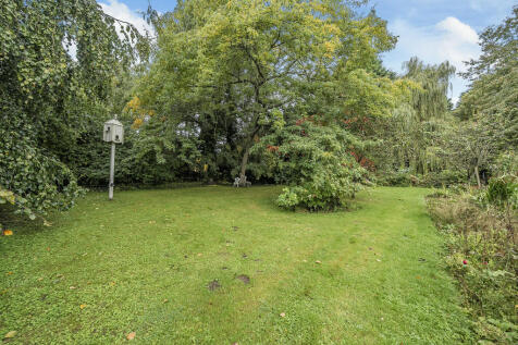 Garden 4