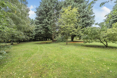 Garden 2