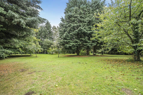 Garden 3