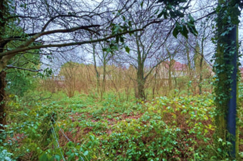 Web photo 2