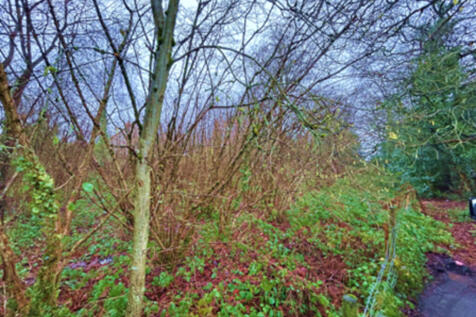 Web photo 3