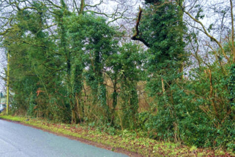 Web photo 4