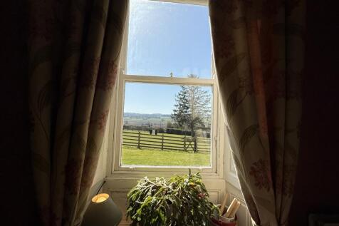 Living Room Window Outlook