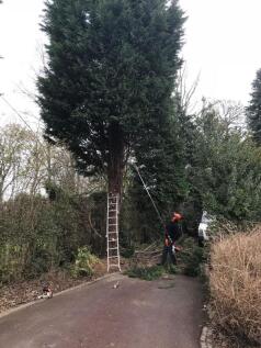 Image During Renovation