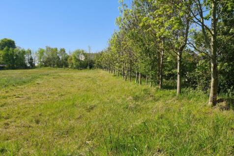 4.9 Acres of Agricultural Land