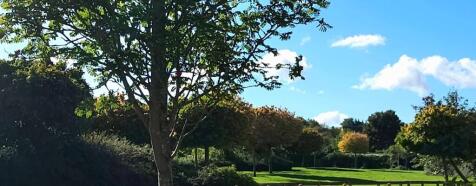 Open Views To Front Of House